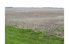 Property photo 12 - 172 Acres Offered in 3 Tracts - Prime Farmland